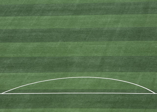 馬卡：新歌diss皮克為“伏地魔”！夏奇拉說出心裏不滿！.