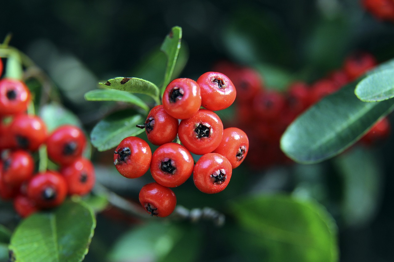 F1中国大奖赛排位赛 皮亚斯特里首夺杆位.